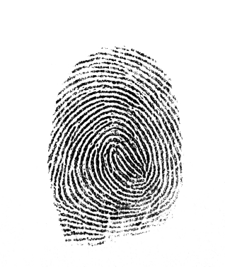 When somebody is arrested in Nevada they are fingerprinted and booked into the jail